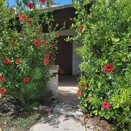 Hébergement de vacances Margiu' Favignana